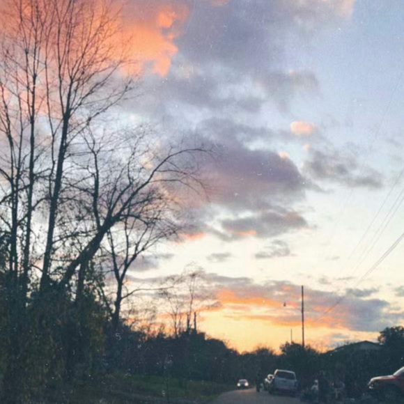 Meet your Posher, Olivia - Picture 1 of 1